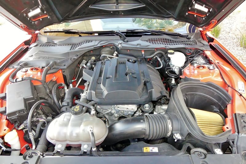 福特野马谢尔比gte敞篷,福特野马谢尔比gte有多宽