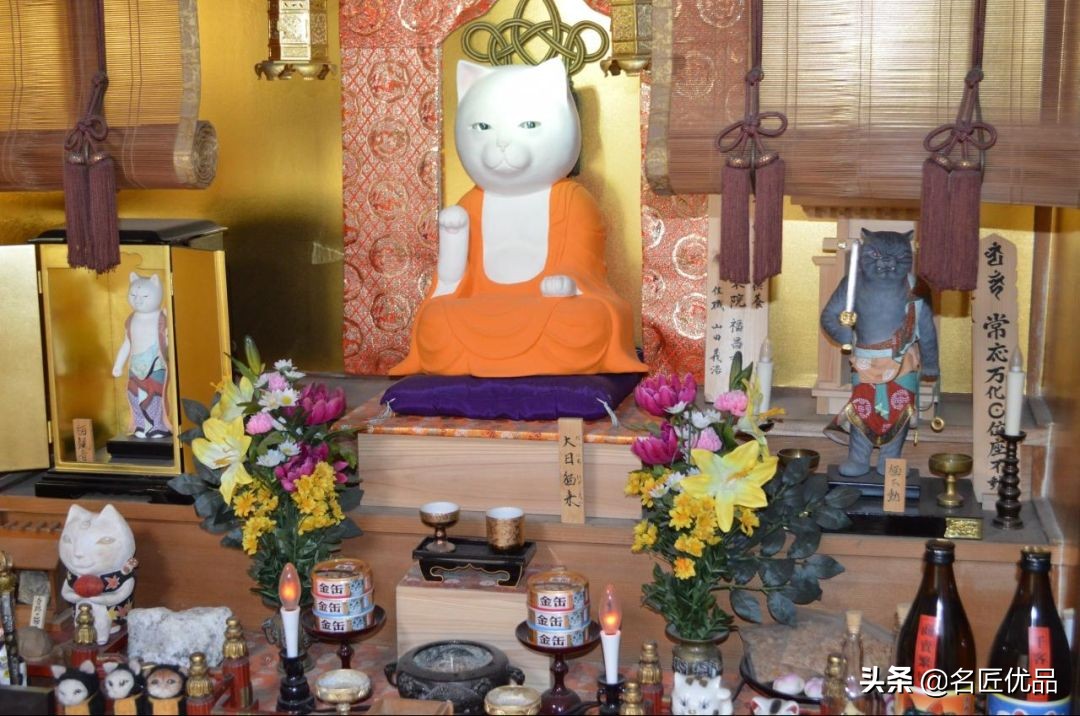 20岁少年建“猫猫寺”，和尚住持全是猫咪，网友：不敢撸不敢吸