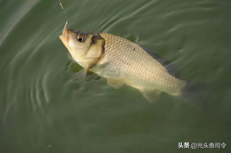 抛竿线组和主线的搭配,抛竿主线怎样连接串钩主线