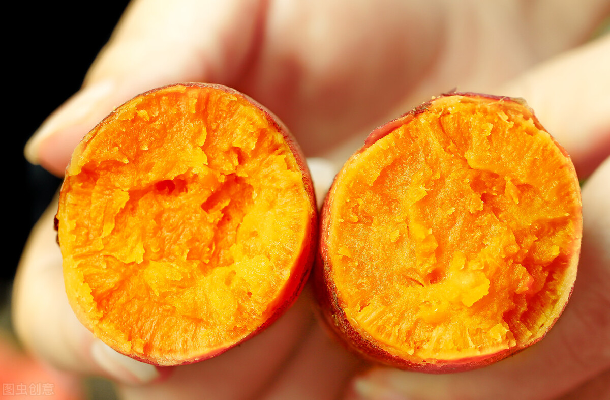 这几种食物，是狗狗的“补品”，价格也便宜