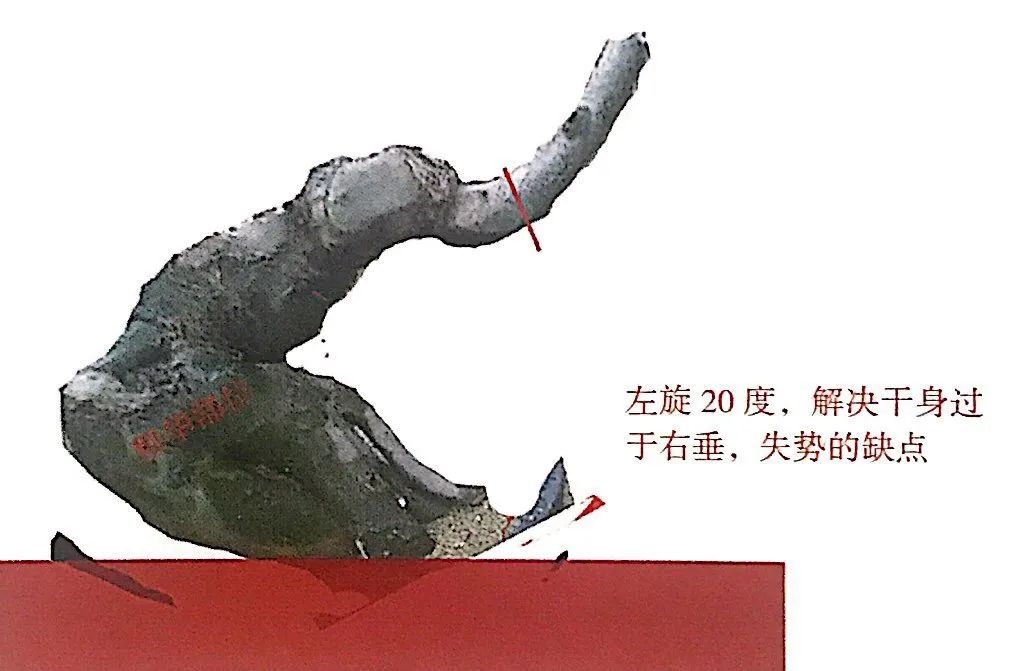 小榆树盆景设计100种形态,榆树盆景用的榆树是什么品种