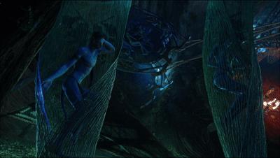 阿凡达最新彩蛋,阿凡达你不知道的隐藏细节