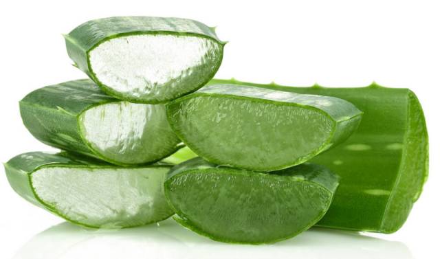 耐活好养的盆栽植物芦荟,芦荟全身都是宝