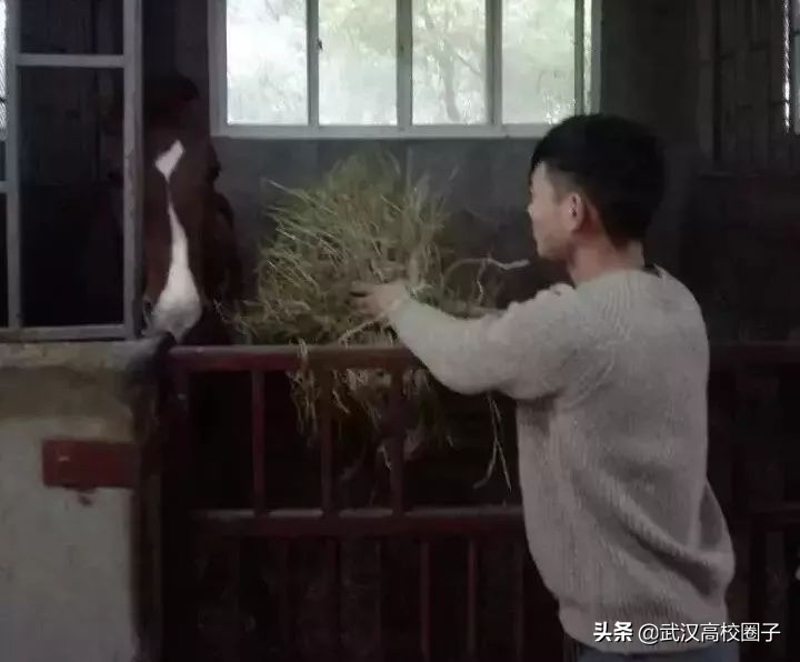 武汉低调神秘的高校,武汉低调的大学