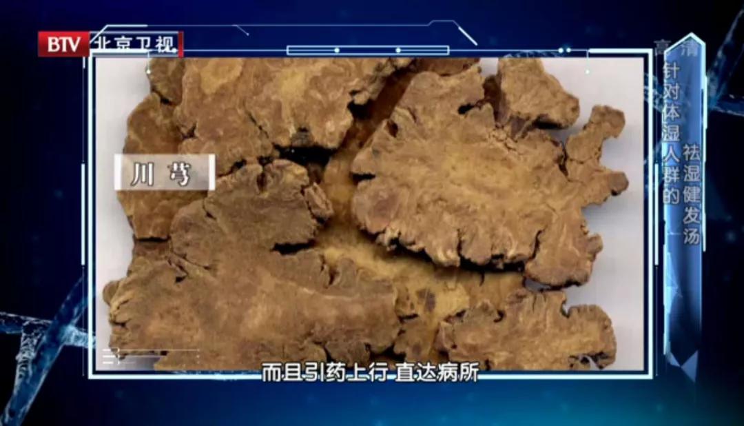 桑树全身都是宝带你了解一下,桑树养生药材