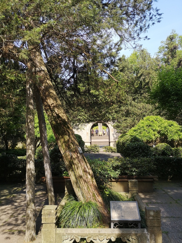 杭州岳庙,杭州岳庙所在地