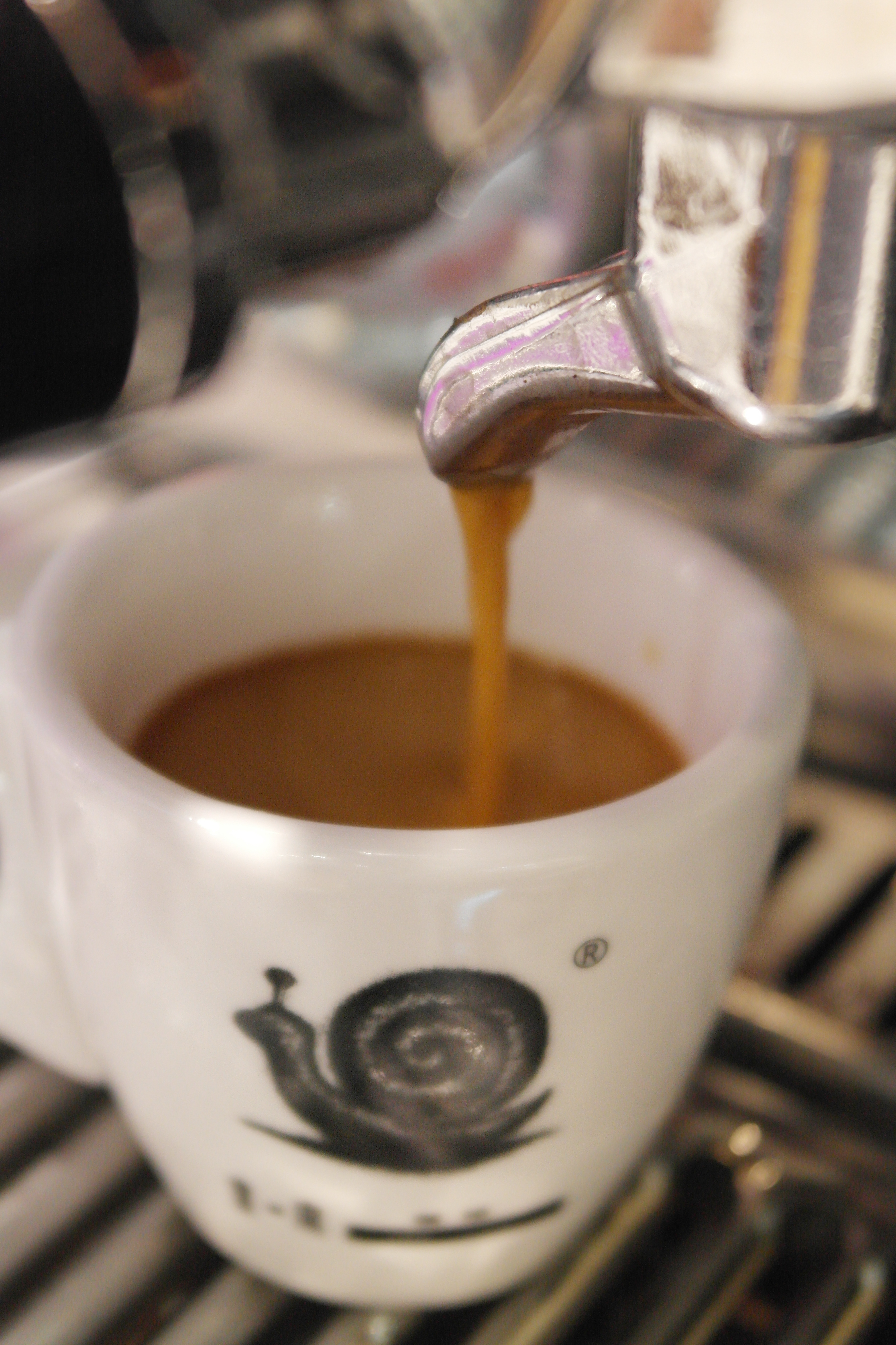 缁忓吀鍜栧暋鑺卞紡鍜栧暋,缁忓吀蹇冨舰鍜栧暋鎷夎姳