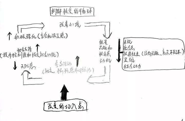 猫抑郁症吃什么,猫是治疗抑郁症的良药
