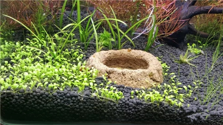 龟专用垫材,龟缸垫材推荐