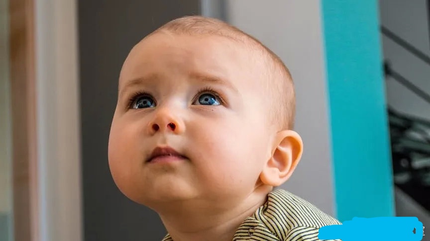 早教对智力的重要性,早教对孩子发育有什么帮助