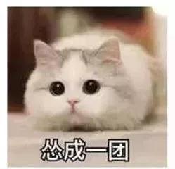 多少体面的成年人，在小学生面前不堪一击