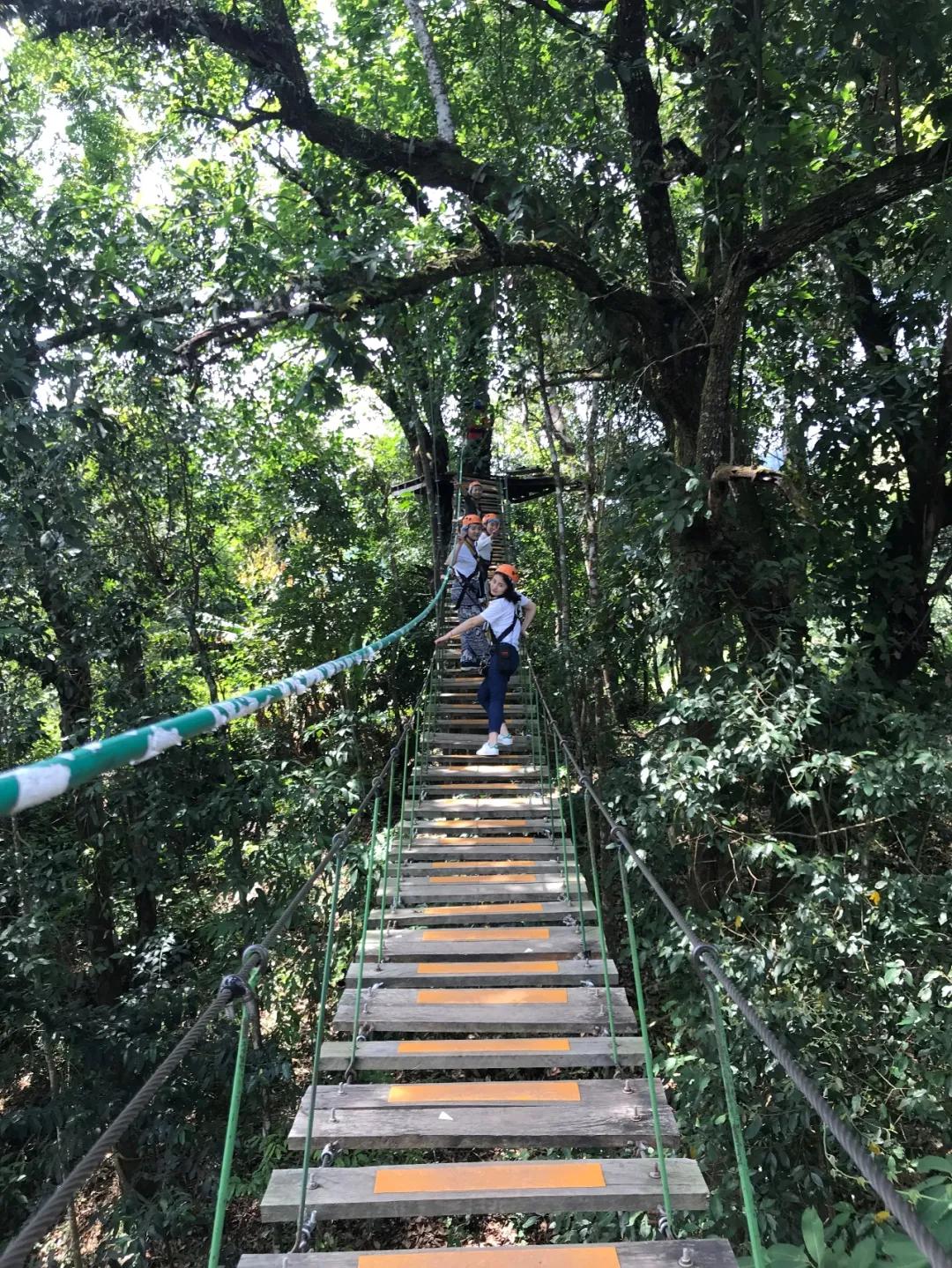 泰国清迈游玩攻略视频,泰国清迈四日旅游攻略