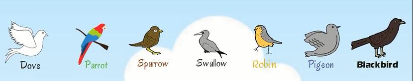 关于动物的英语单词100个带图片,英语常用词汇整理