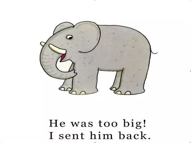 英语绘本阅读dearzoo完整版,dearzoo英语绘本阅读