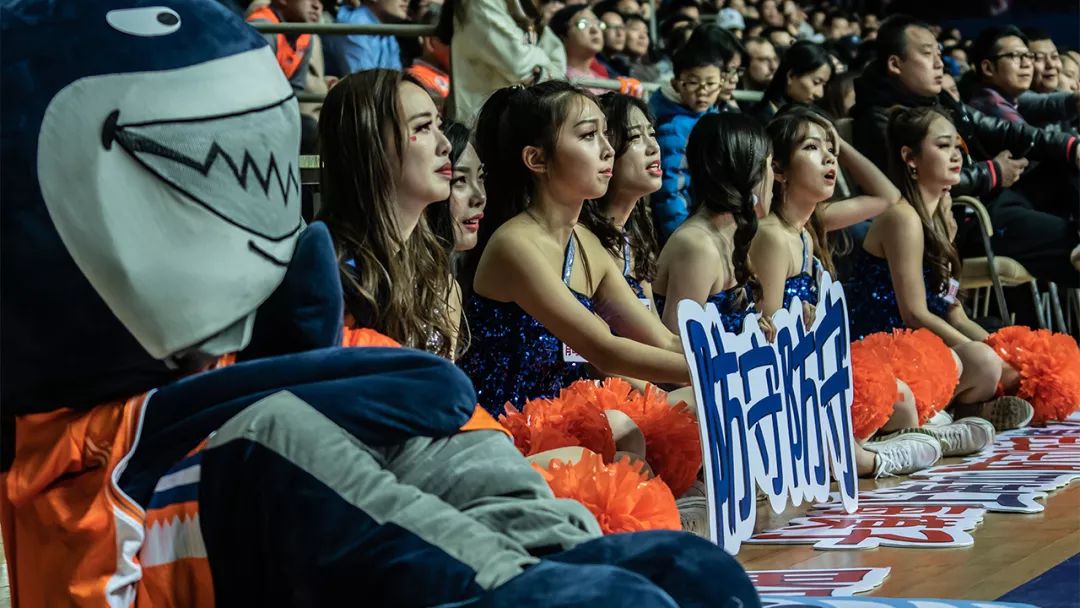 现场看cba去哪里看,现场看cba有多震撼