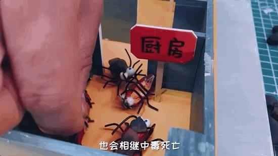 如何灭绝室内蟑螂虫卵,消除老房子蟑螂的方法