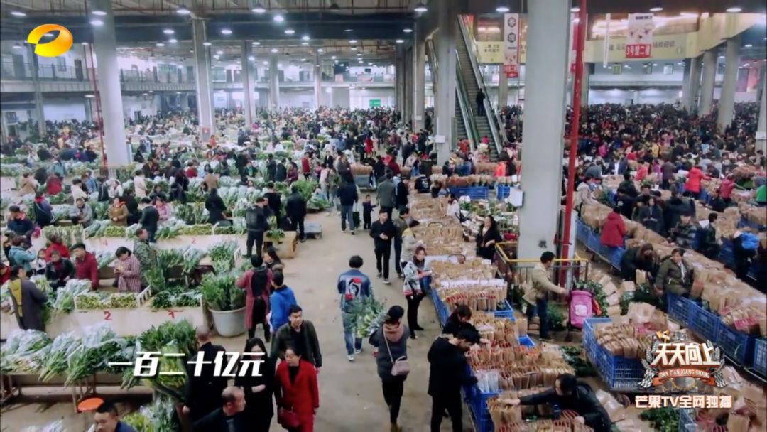 亚洲第一鲜花交易市场是哪里,第一个花卉市场