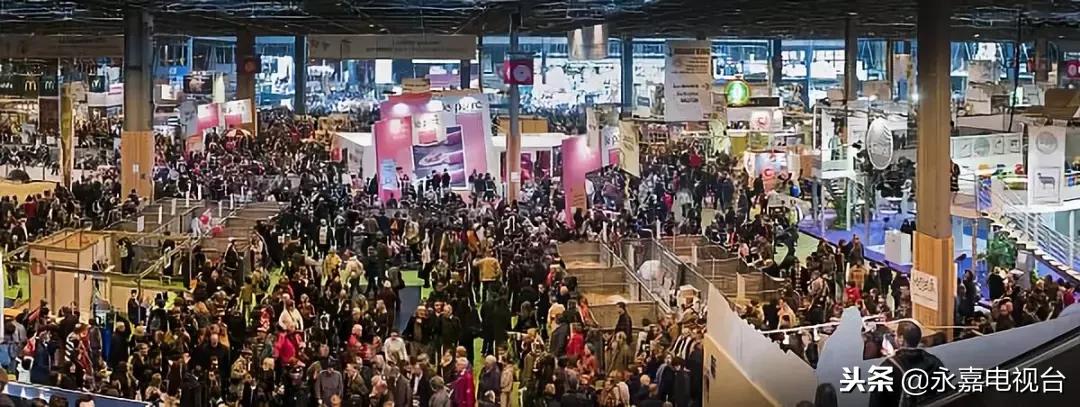 金奖脆豆腐,豆腐大赛金奖菜品