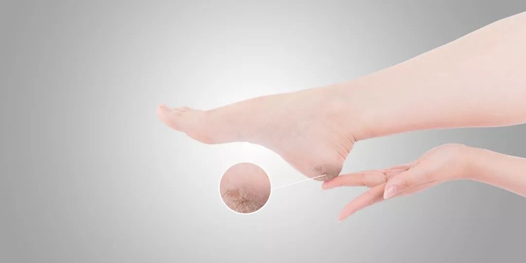 养脚就是养命,养脚等于养全身