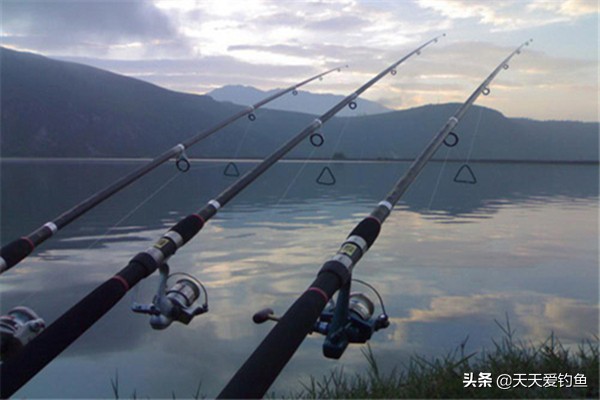 野钓手竿用什么钓最好,野钓综合竿什么最好最实用