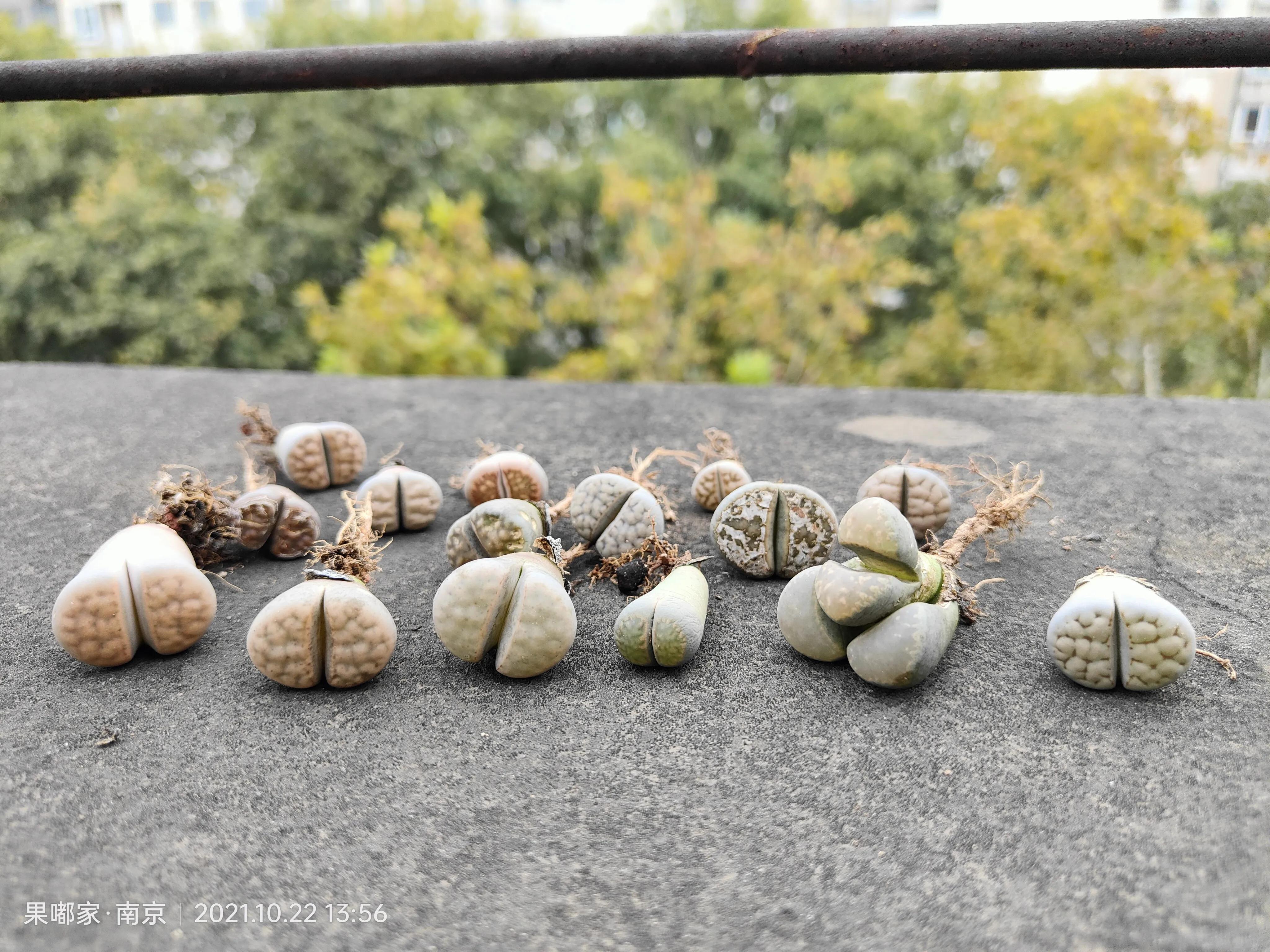 肉肉变美的季节到了,怎么把肉肉练精致