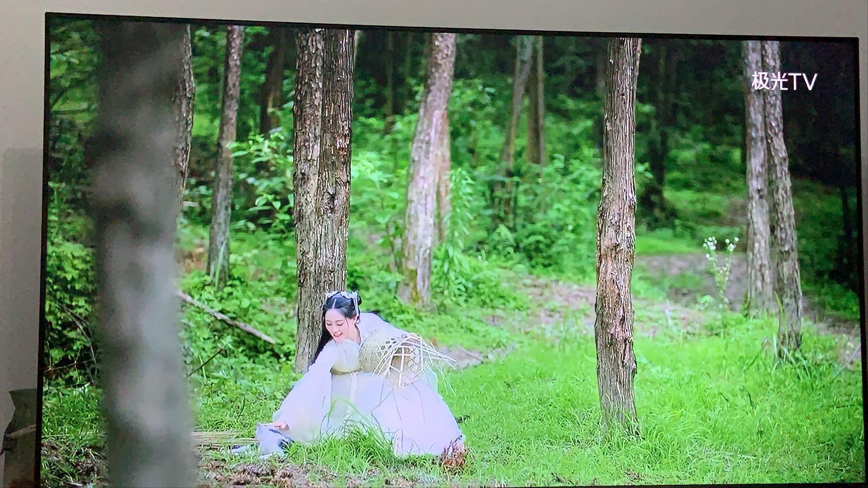 盘点猫咪高能名场面 (猫咪10大最萌镜头)