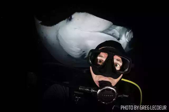 自由潜水怎么玩,潜水20个基本技巧