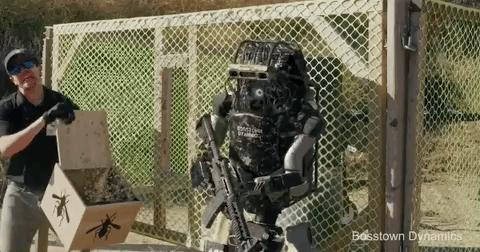 鏆村姏瀵瑰緟娉㈠+椤垮姩鍔涙満鍣ㄤ汉,娉㈠+椤垮姩鍔涙満鍣ㄤ汉琚檺