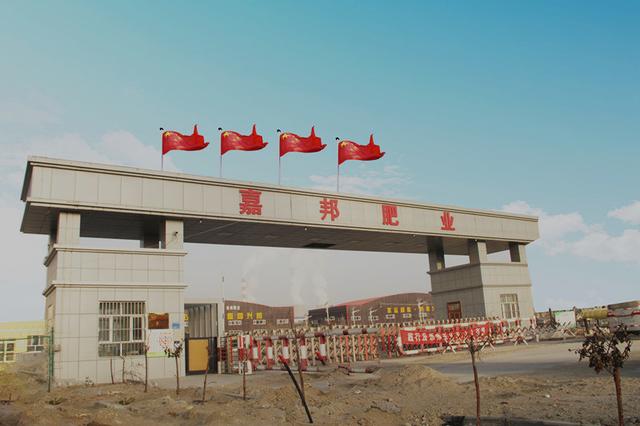 全是假的这些肥料别再买了,十大骗局最好的肥料