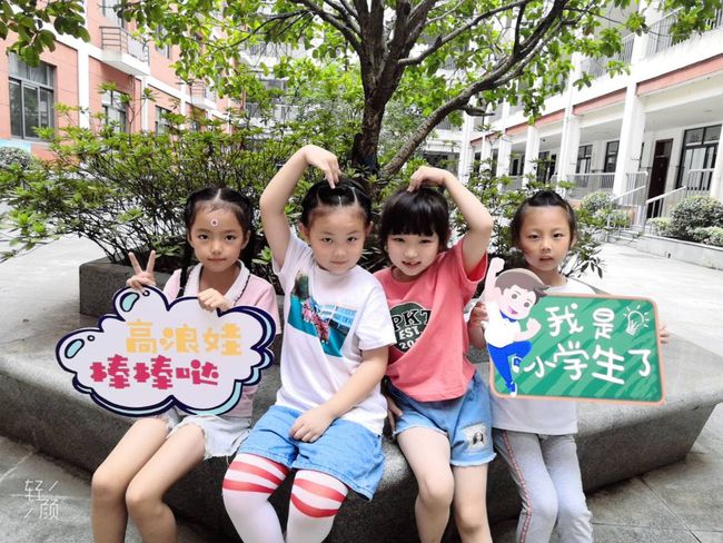 学段衔接研究思路,聚焦科学幼小衔接培训