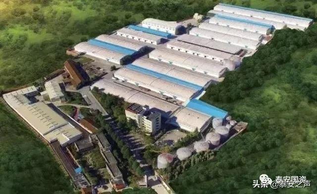 *安泰**国资委开展“双招双引”线上推介！