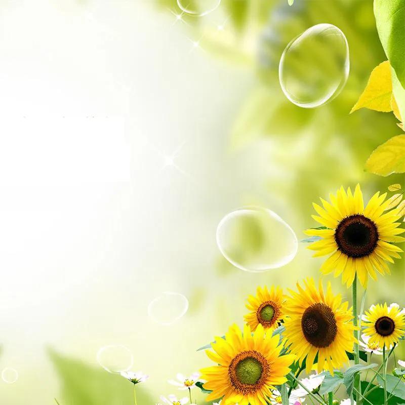 2020最火的微信名干净清新,2022最惊艳个性微信名