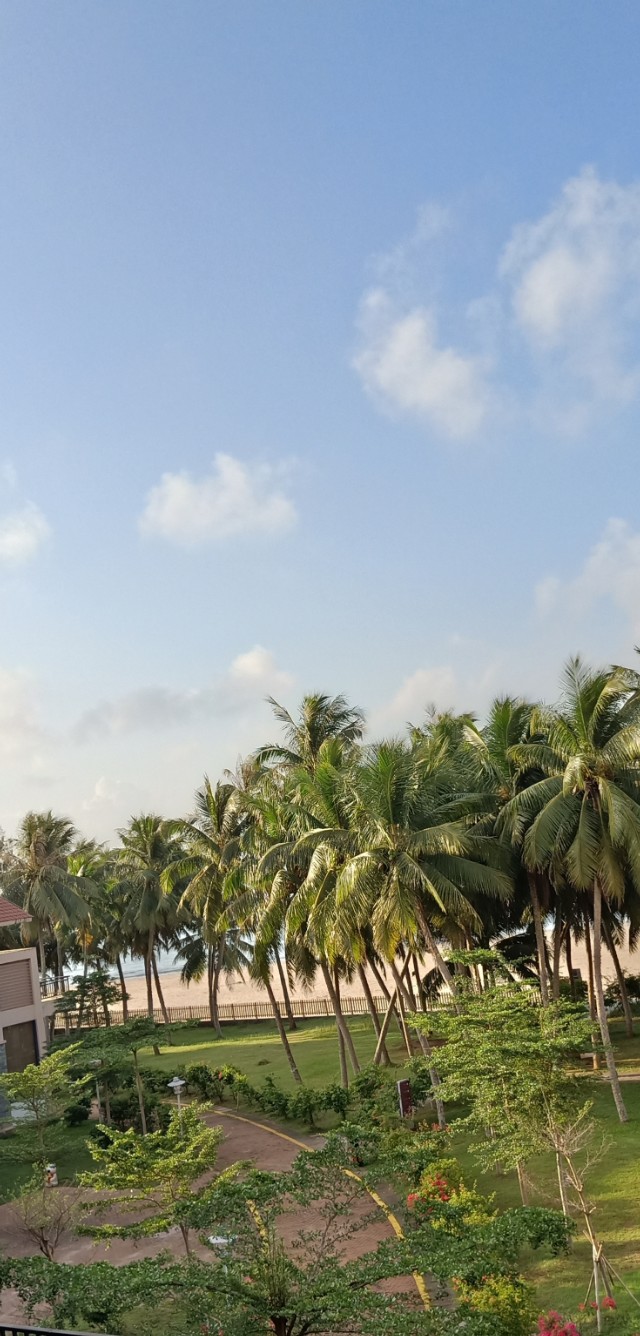 曾晓华散文诗,曾晓华的散文诗