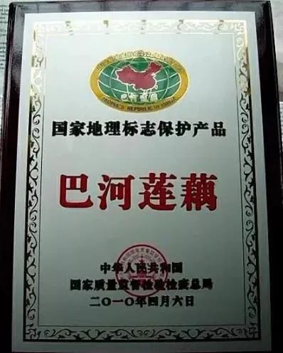 万万没想到,外地人是这样评价浠水人的