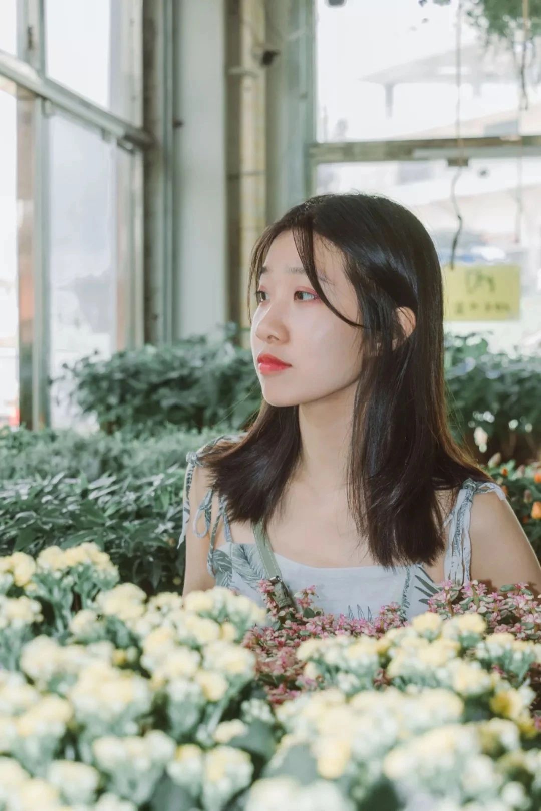 深圳旅游好去处推荐,深圳宝安区周末休闲浪漫好去处