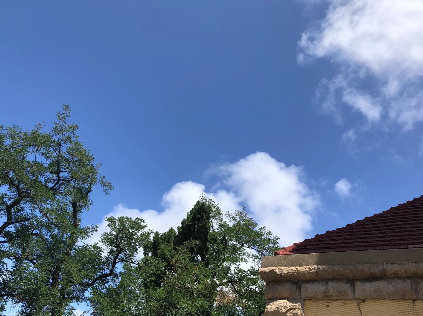 秋风起吃蟹忙吃蟹的禁忌您知道吗,秋风起蟹脚痒一年一度吃蟹季