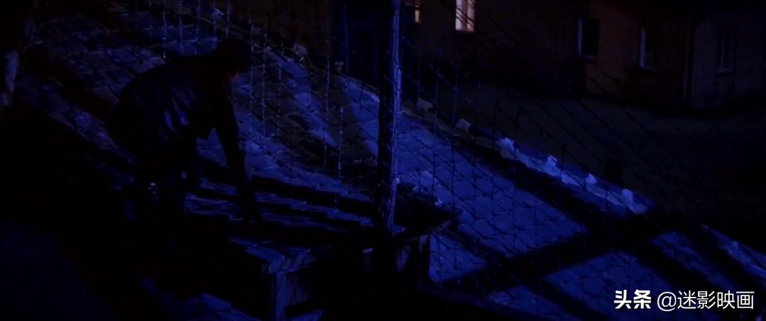 球王贝利最好纪录片,球王贝利史泰龙合拍的电影