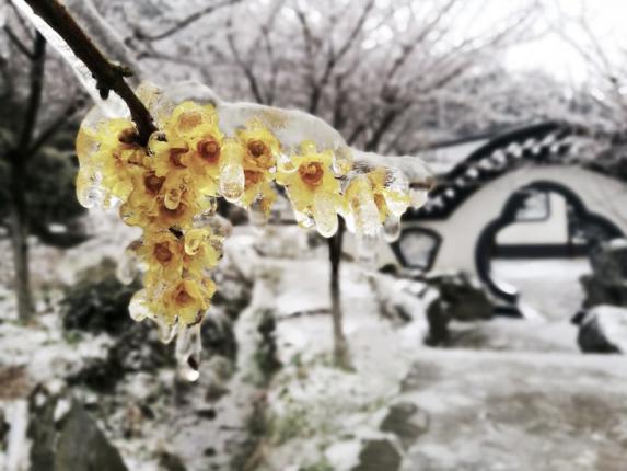 南昌新增一处网红打卡地,南昌网红打卡地适合孩子玩