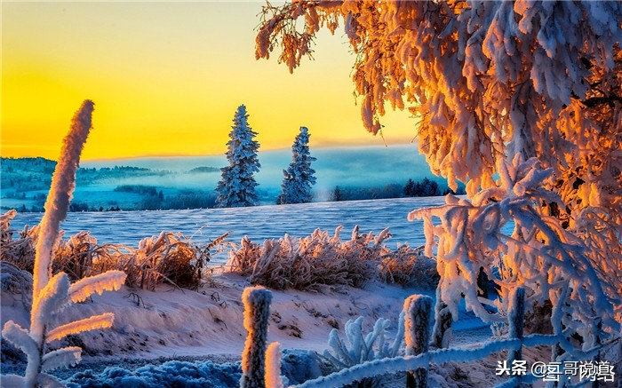 冬天去内蒙古大草原合适吗 (去内蒙古旅游看一下成吉思汗)