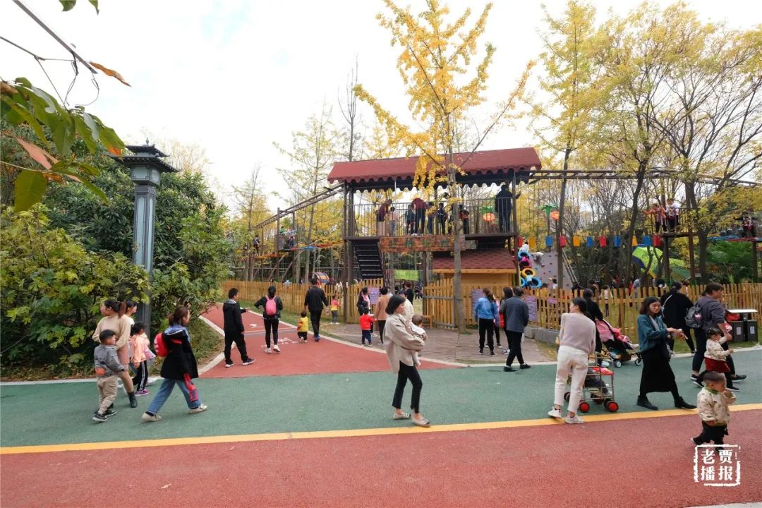 洛阳一大型网红公园免费开放,洛阳湿地公园网红打卡地