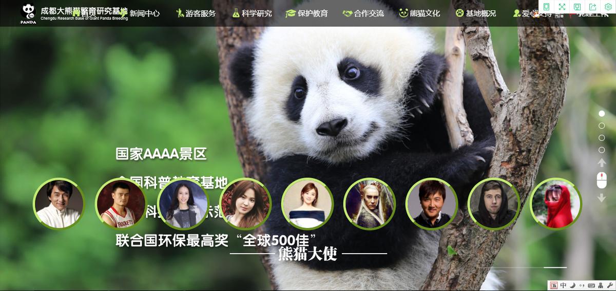 word办公操作技巧怎么加横线内容,word办公技巧添加目录