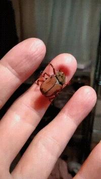 哎不说了，我房子都卖了炒股了，还是美股