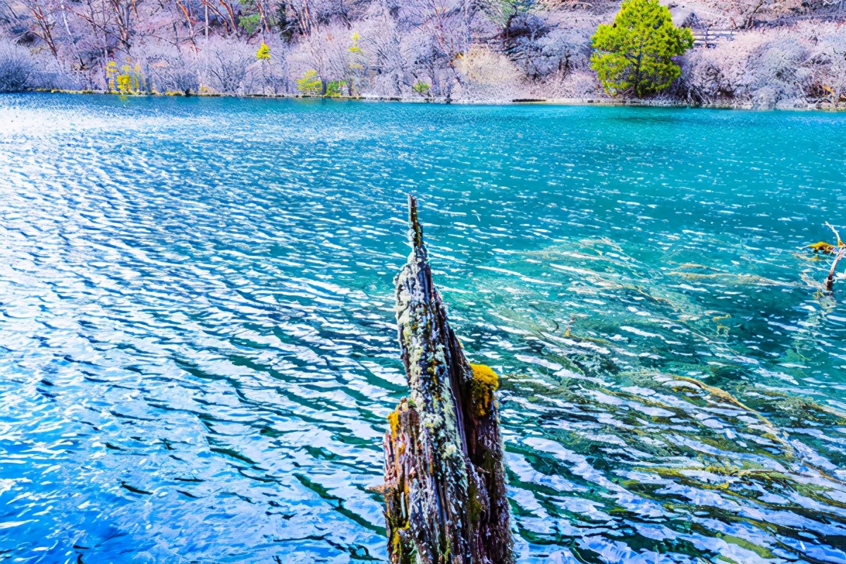 九寨沟最美的一处景点,九寨沟风景区好山好水好风光