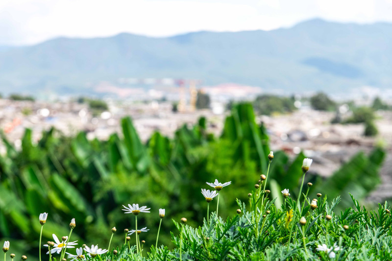 丽江旅游住哪个客栈比较好一点,丽江民宿客栈推荐便宜五天四晚