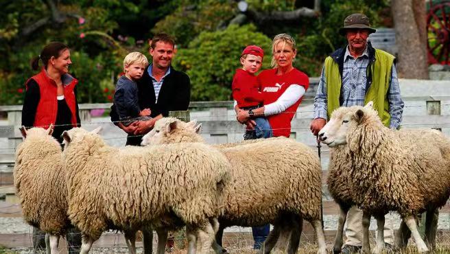 在新西兰吃过的美食,新西兰美食100种