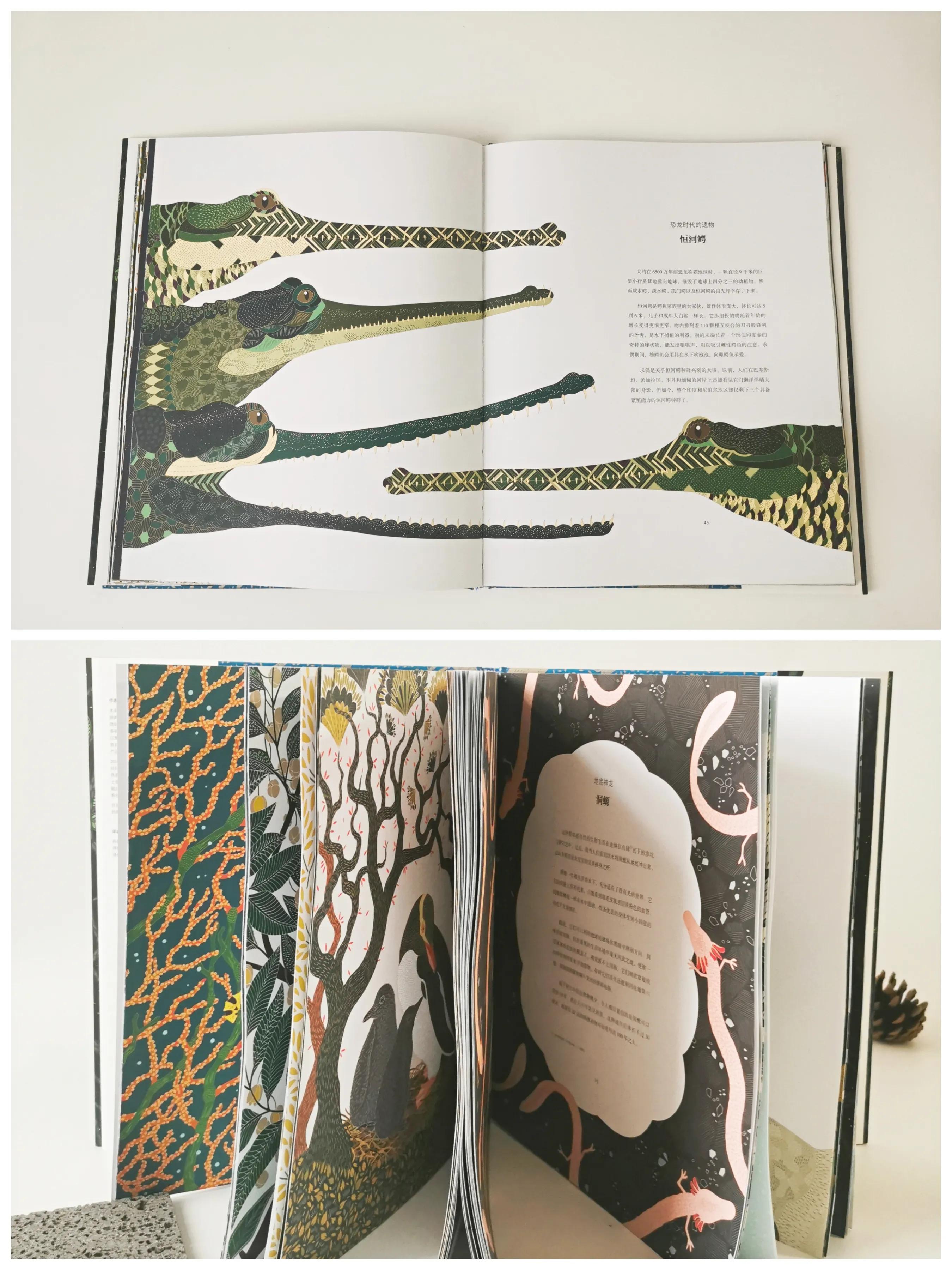 小众高颜值科普绘本,科普类的绘本推荐