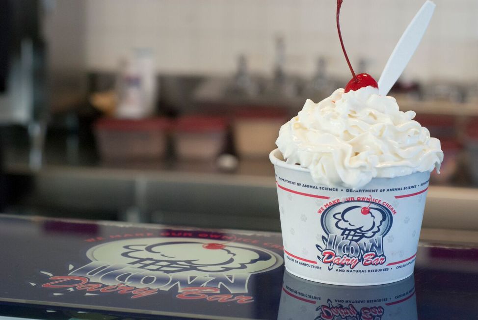 康涅狄格大学和普渡大学,康涅狄格大学相当于中国哪个大学