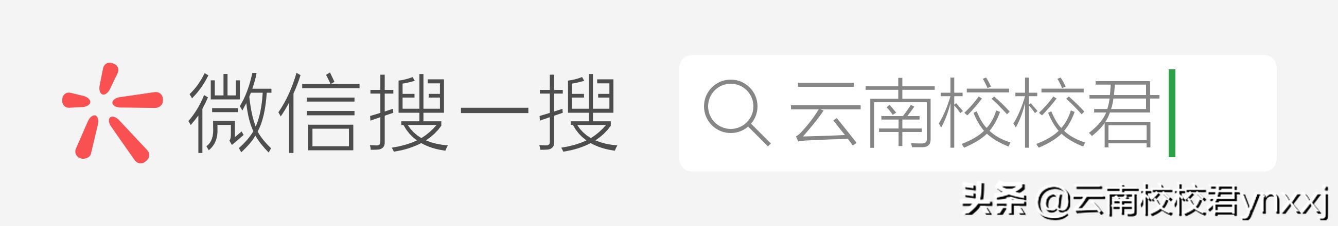 昆一中好吗,昆一中高考补习学校
