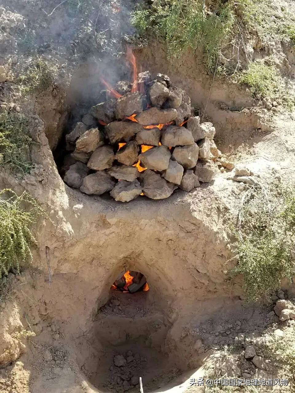 甘肃人的土豆,甘肃人的寿命长吗