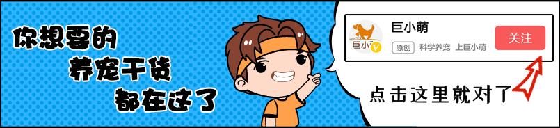 铲屎官和猫主子一起摇头,铲屎官一惊一乍吓猫咪一跳